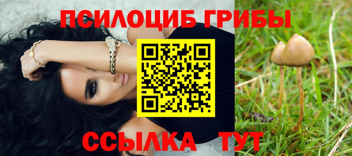 наркошоп  Вход с VPN  Соликамск  Галлюциногенные грибы GOLDEN TEACHER  Галлюциногенные грибы мухоморы 